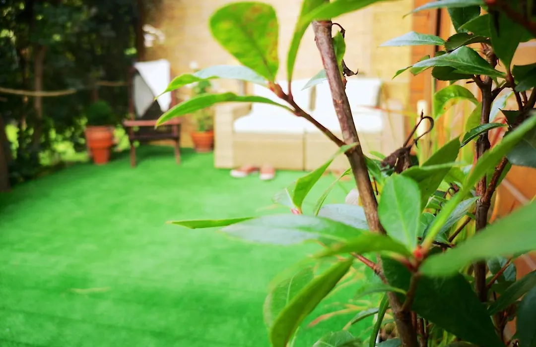 Apartment Berlin | Garden, Terrace, Nature-1