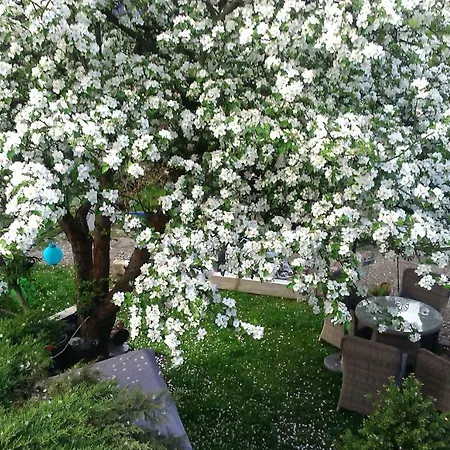 Das kleine Ferienhaus-3